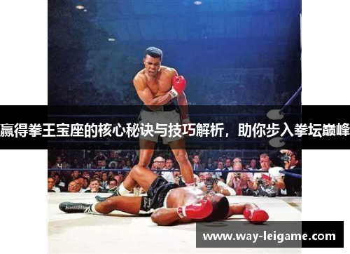 赢得拳王宝座的核心秘诀与技巧解析，助你步入拳坛巅峰