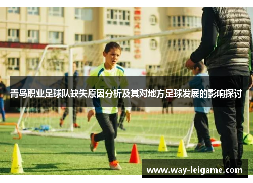 青岛职业足球队缺失原因分析及其对地方足球发展的影响探讨