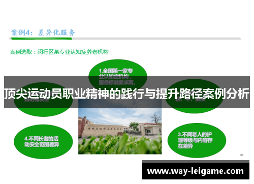 顶尖运动员职业精神的践行与提升路径案例分析 顶尖运动员职业精神的践行与提升路径案例分析