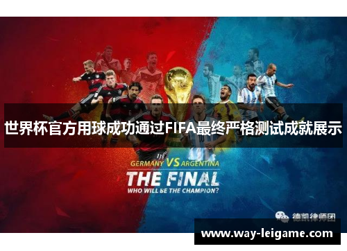 世界杯官方用球成功通过FIFA最终严格测试成就展示