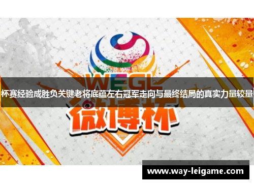 杯赛经验成胜负关键老将底蕴左右冠军走向与最终结局的真实力量较量