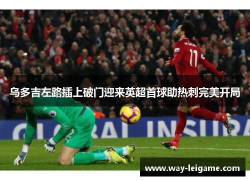 乌多吉左路插上破门迎来英超首球助热刺完美开局 乌多吉左路插上破门迎来英超首球助热刺完美开局