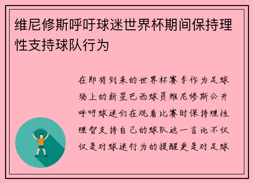 维尼修斯呼吁球迷世界杯期间保持理性支持球队行为